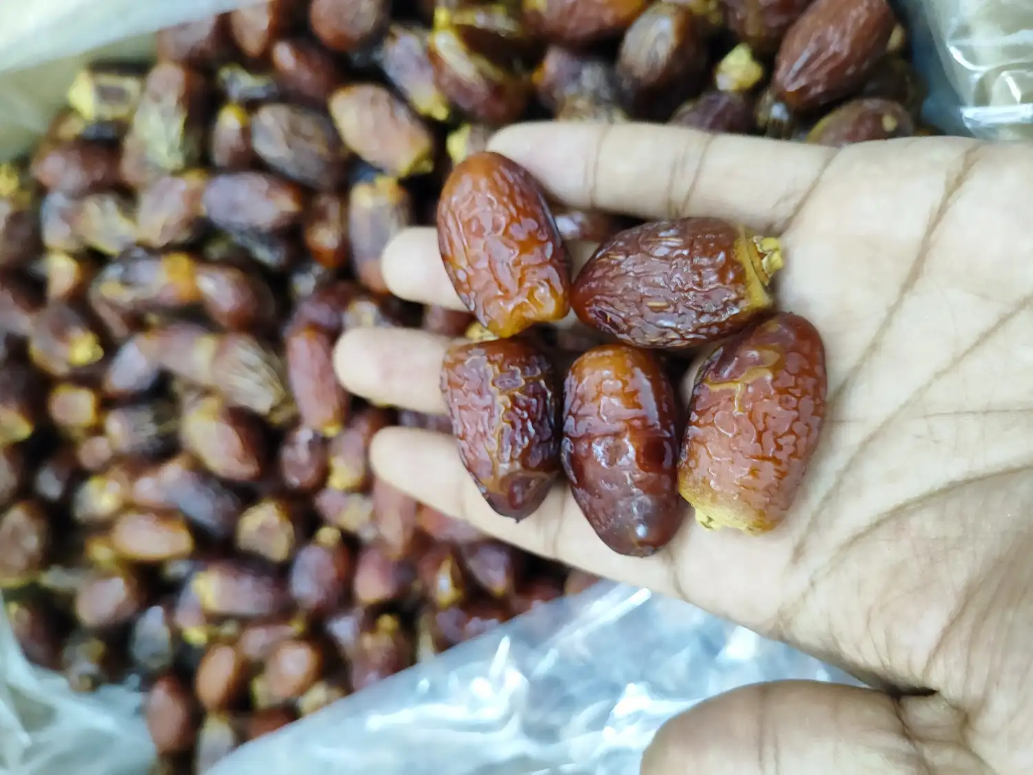 Dabbas Premium Dates - 5kg - Image 1